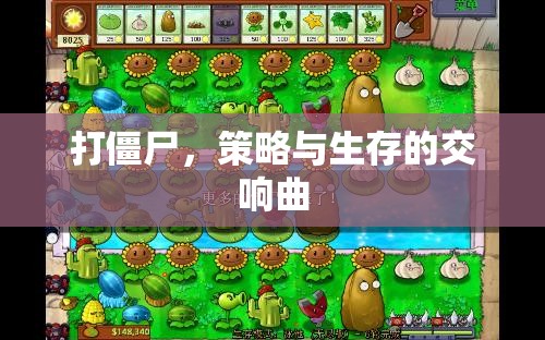 打僵尸，策略與生存的交響樂章