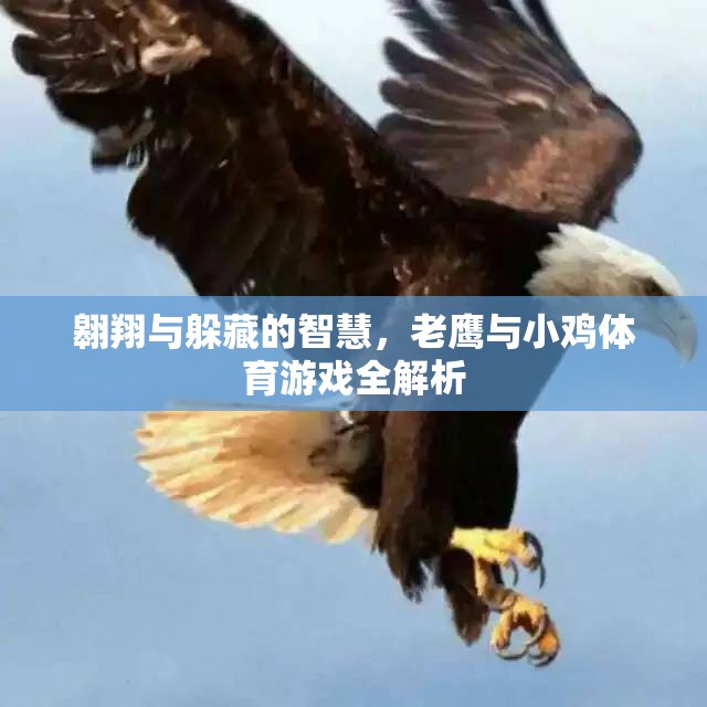老鷹與小雞，體育游戲中的翱翔與躲藏智慧全解析  第1張
