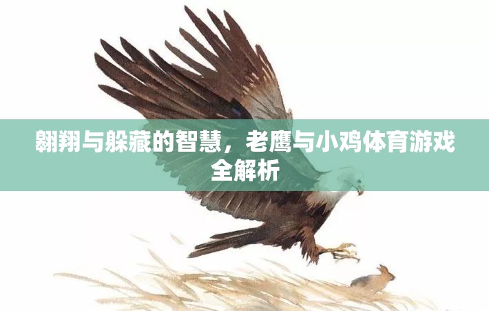 老鷹與小雞，體育游戲中的翱翔與躲藏智慧全解析  第2張