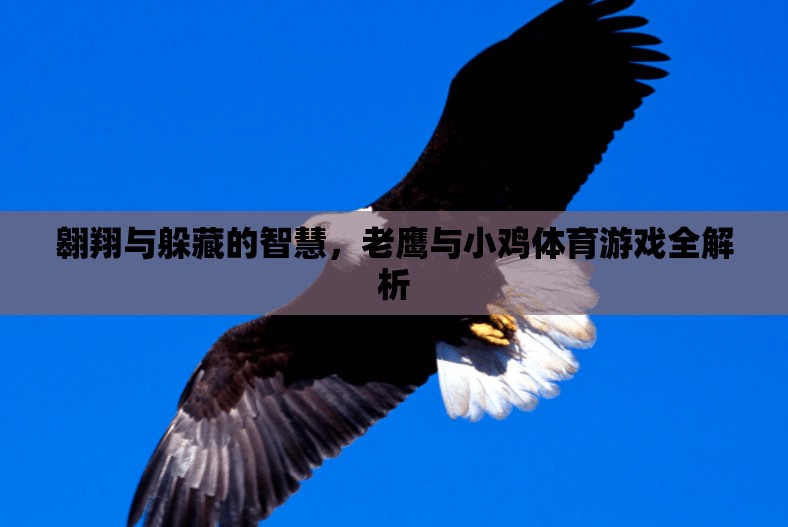 老鷹與小雞，體育游戲中的翱翔與躲藏智慧全解析  第3張