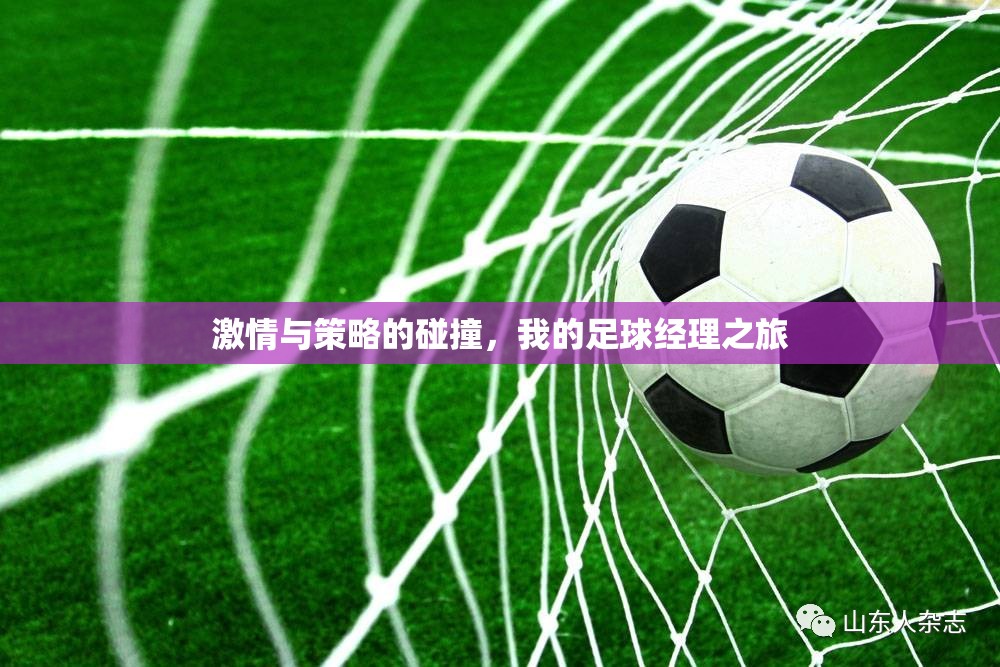 激情與策略的碰撞，我的足球經(jīng)理之旅