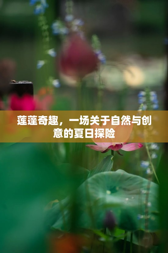 蓮蓬奇趣，自然與創(chuàng)意的夏日探險  第2張