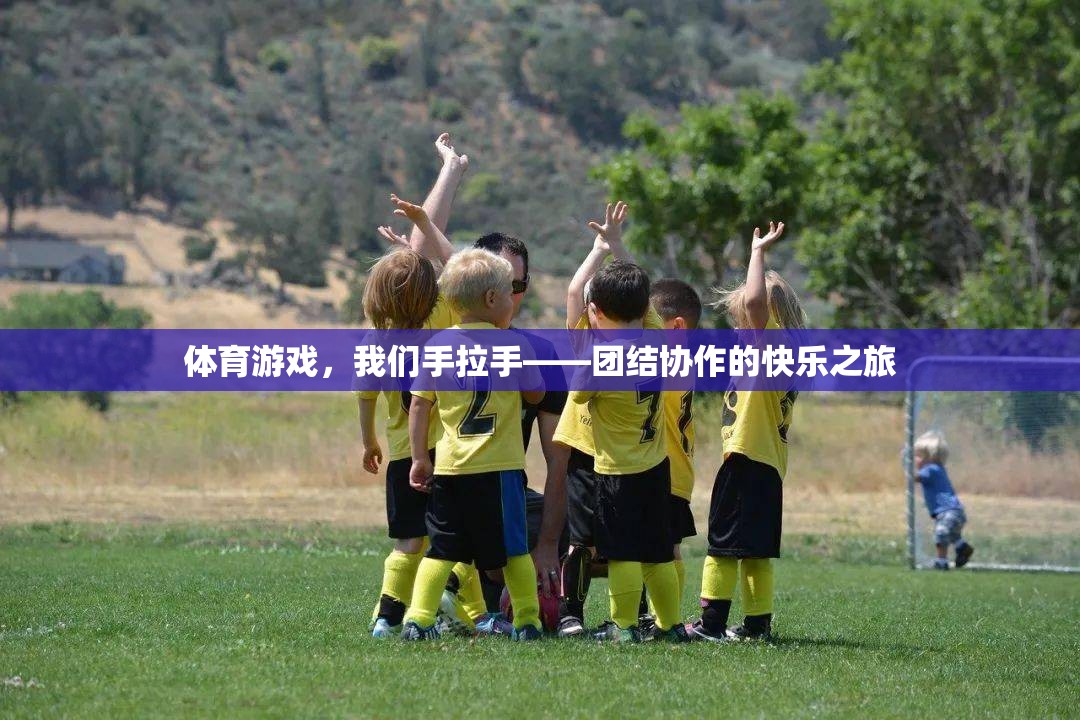 攜手共進，體育游戲中的團結協(xié)作快樂之旅
