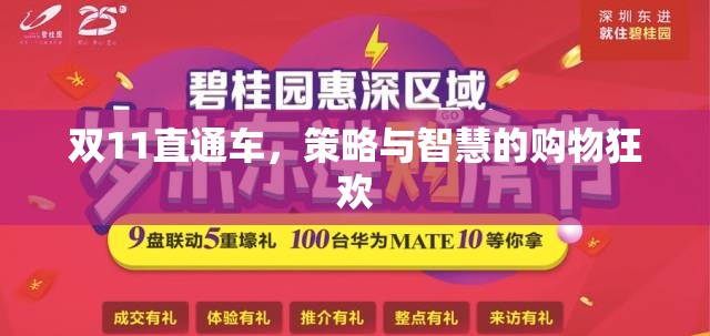 雙11直通車，策略與智慧的購物狂歡指南  第3張