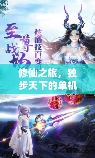 獨(dú)步天下的仙途無(wú)界，修仙之旅