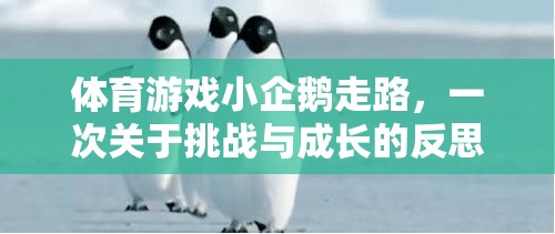 小企鵝的行走挑戰(zhàn)，一場關(guān)于勇氣與成長的體育游戲反思之旅