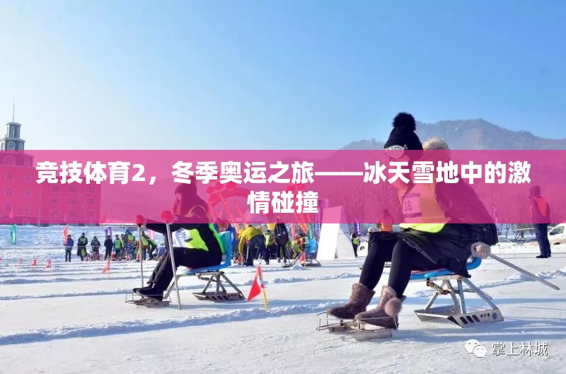 冰雪盛宴，冬季奧運之旅的競技激情