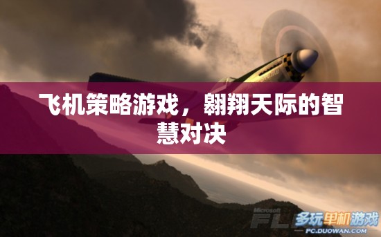 翱翔天際的智慧對(duì)決，飛機(jī)策略游戲