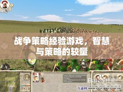 智慧與策略的較量，戰(zhàn)爭策略經(jīng)驗游戲的魅力