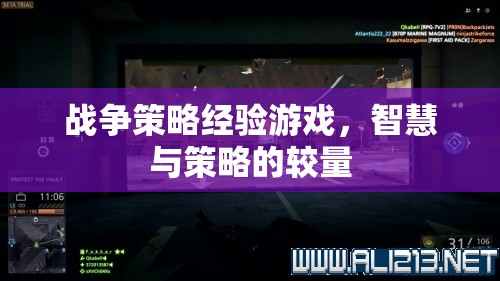 智慧與策略的較量，戰(zhàn)爭策略經(jīng)驗游戲的魅力