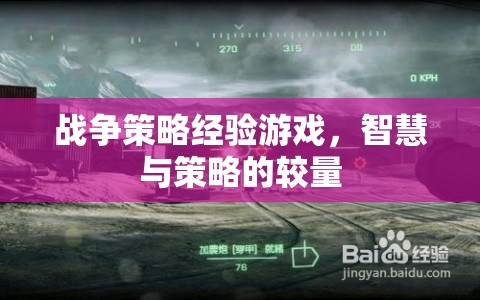 智慧與策略的較量，戰(zhàn)爭策略經(jīng)驗游戲的魅力