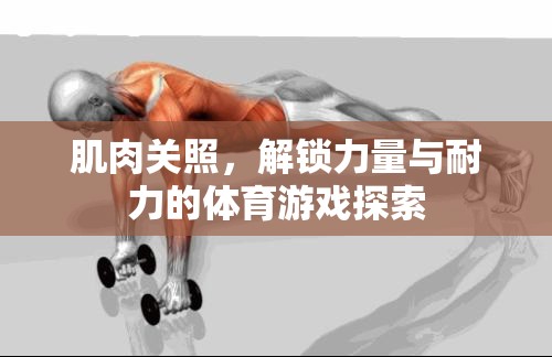 肌肉關(guān)照，解鎖力量與耐力的體育游戲探索