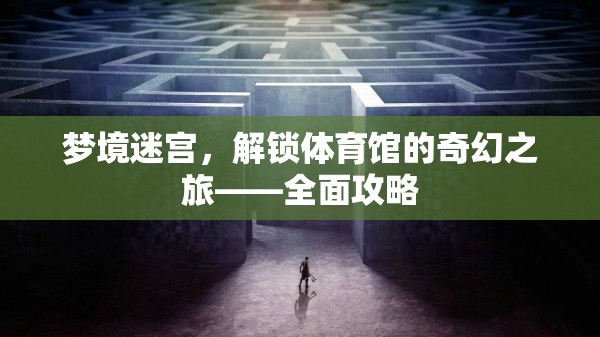 夢境迷宮，解鎖體育館的奇幻之旅——全面攻略
