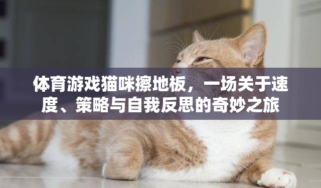 貓咪擦地板，速度、策略與自我反思的體育游戲奇妙之旅