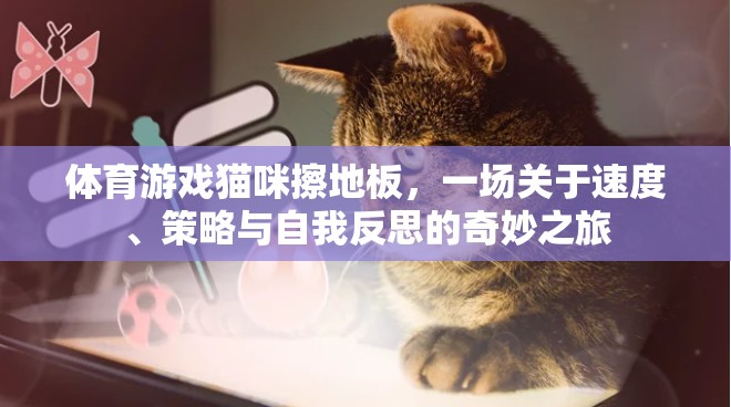 貓咪擦地板，速度、策略與自我反思的體育游戲奇妙之旅