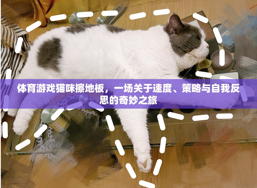 貓咪擦地板，速度、策略與自我反思的體育游戲奇妙之旅