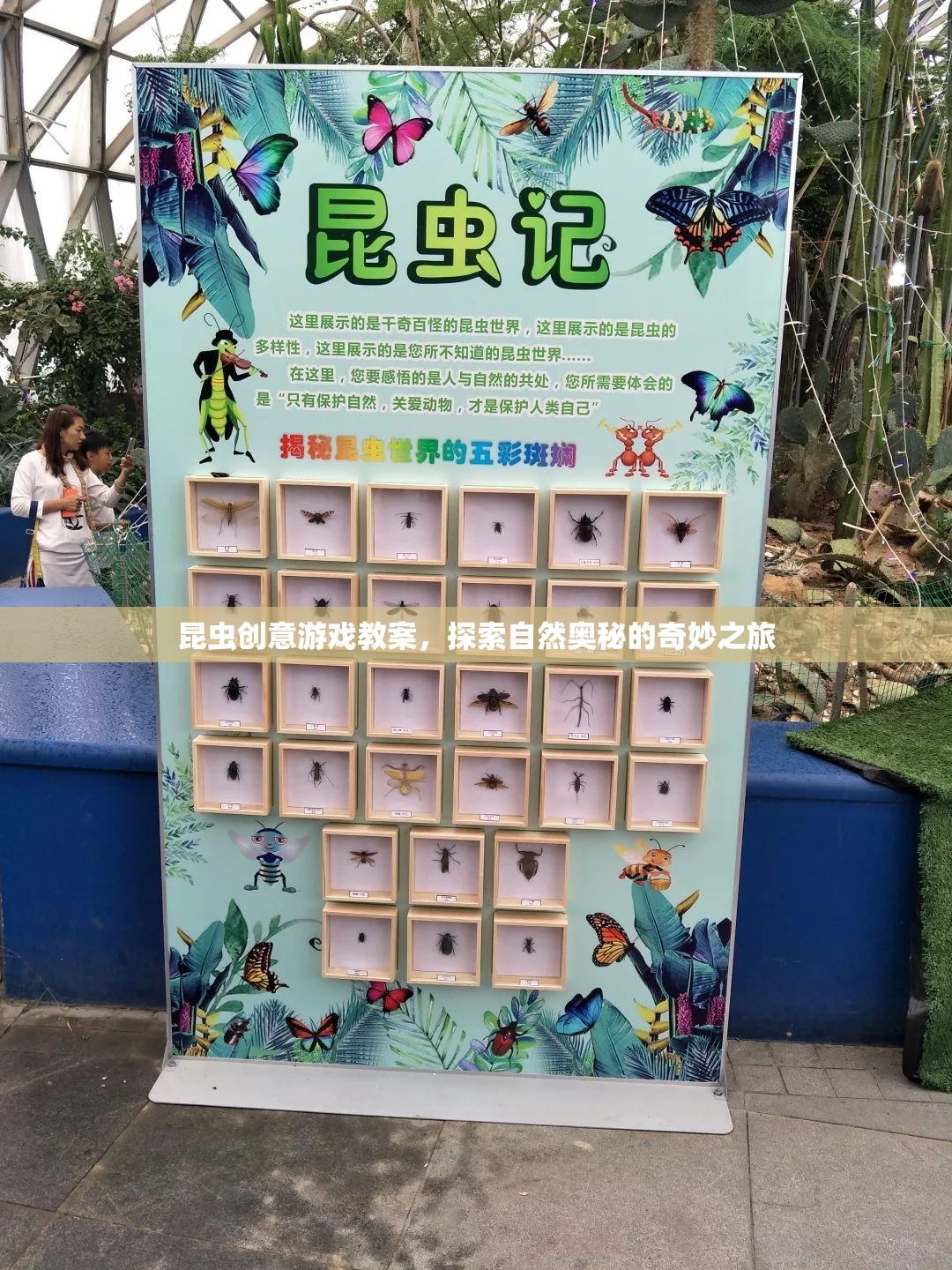 探索自然奧秘，昆蟲創(chuàng)意游戲教案的奇妙之旅  第3張