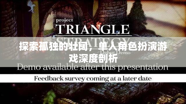 孤獨(dú)的壯闊，單人角色扮演游戲的深度探索