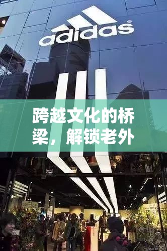 跨越文化的橋梁，解鎖老外的創(chuàng)意游戲新體驗(yàn)