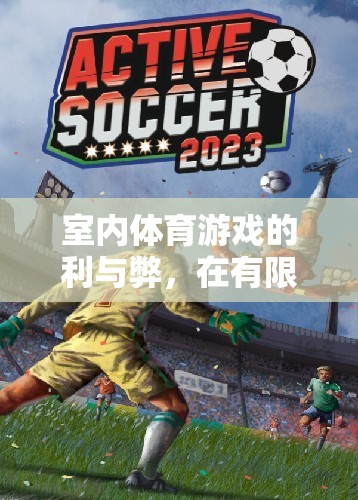 室內(nèi)體育游戲，在有限空間中釋放無(wú)限活力的利與弊