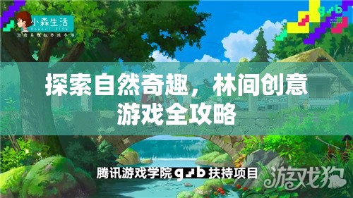 林間奇趣，探索自然與創(chuàng)意的完美融合