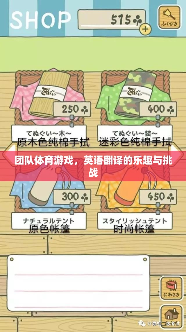 團隊體育游戲的英語翻譯，The Joy and Challenges of Team Sports Games