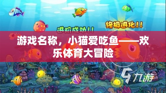 小貓愛吃魚，歡樂體育大冒險