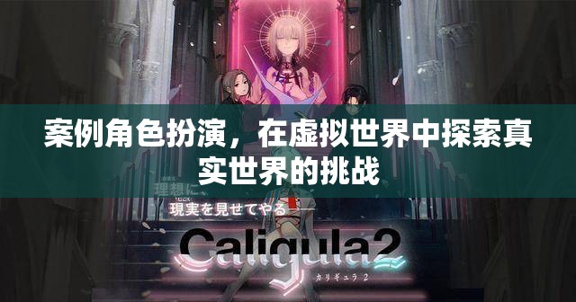 虛擬世界中的真實(shí)挑戰(zhàn)，案例角色扮演的探索之旅