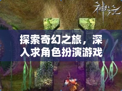 奇幻之旅，深入探索角色扮演游戲的奇幻世界