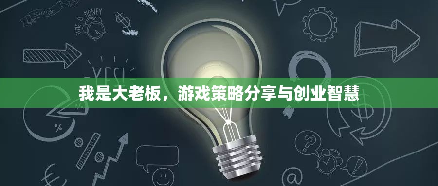 大老板的創(chuàng)業(yè)智慧，游戲策略與成功秘訣