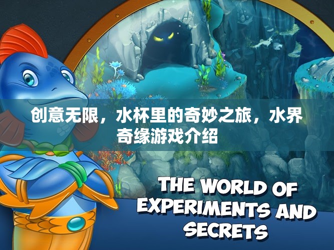 水界奇緣，創(chuàng)意無限的水杯冒險之旅