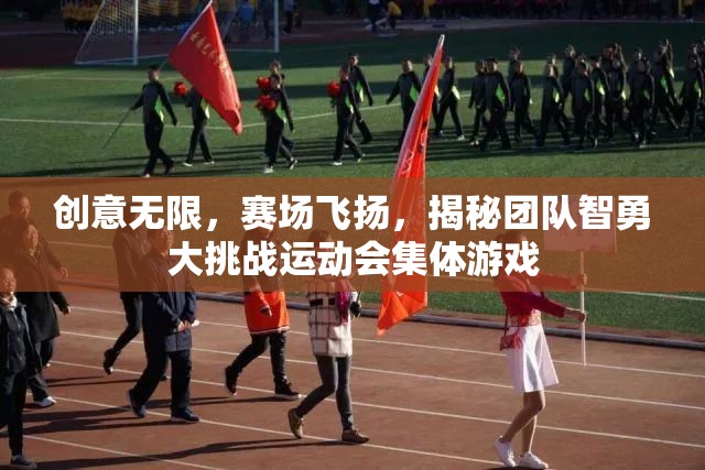 智勇大挑戰(zhàn)，揭秘團隊創(chuàng)意與競技的精彩瞬間