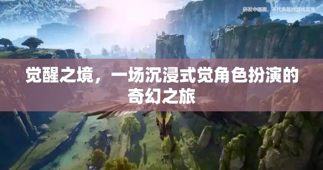 覺(jué)醒之境，一場(chǎng)沉浸式覺(jué)角色扮演的奇幻之旅