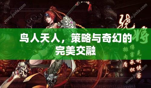 鳥人天人，策略與奇幻的絕妙交融