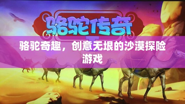 駱駝奇趣，創(chuàng)意無垠的沙漠探險之旅