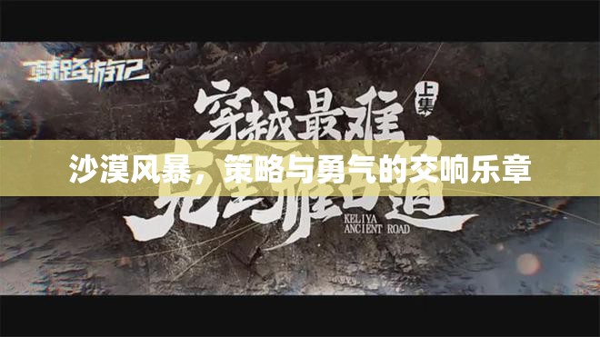 沙漠風(fēng)暴，策略與勇氣的交響樂章  第3張