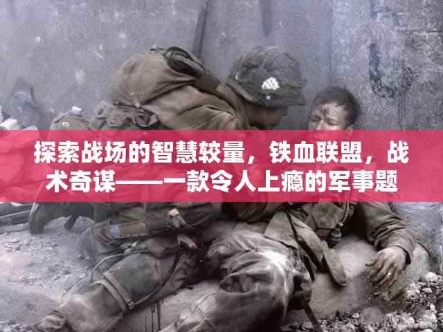 鐵血聯(lián)盟，戰(zhàn)場智慧較量與戰(zhàn)術(shù)奇謀的軍事策略游戲