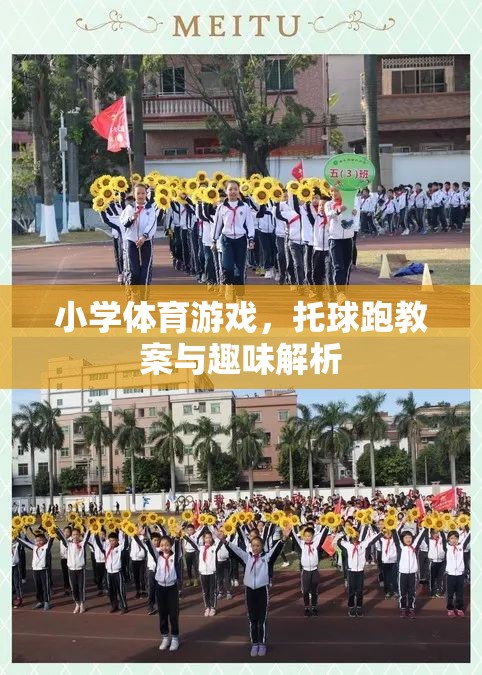 托球跑，小學體育游戲教案與趣味解析