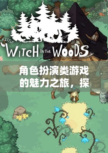角色扮演類游戲的魅力之旅，探索、創(chuàng)造與沉浸的奇幻世界