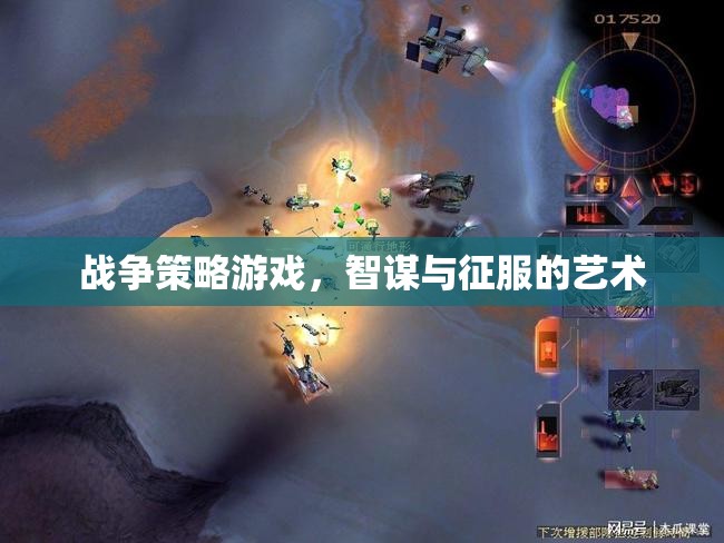 智謀與征服，戰(zhàn)爭策略游戲的藝術(shù)
