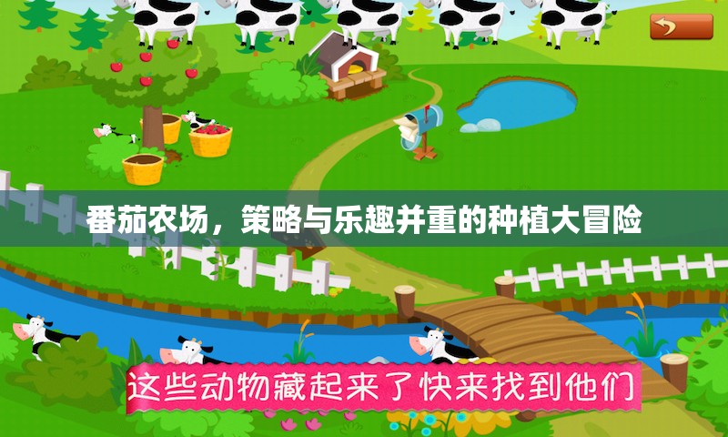 番茄農(nóng)場，策略與樂趣交織的種植大冒險  第2張