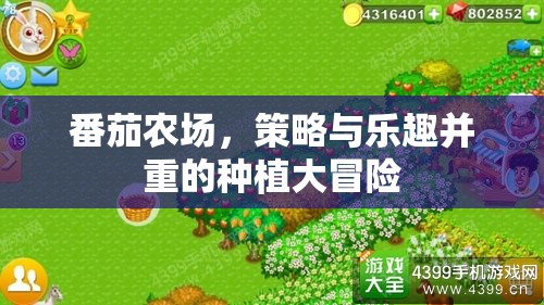 番茄農(nóng)場，策略與樂趣交織的種植大冒險  第3張