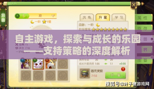 自主游戲，探索與成長(zhǎng)的樂(lè)園
