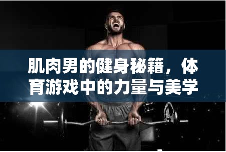 肌肉男的健身秘籍，體育游戲中的力量與美學(xué)