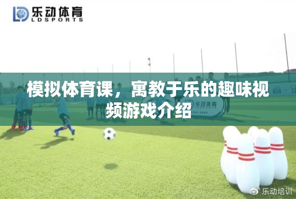 寓教于樂，模擬體育課趣味視頻游戲介紹