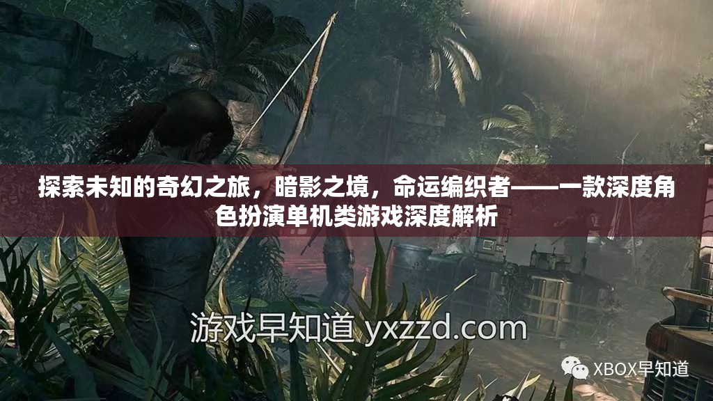 暗影之境，命運(yùn)編織者的奇幻之旅——深度解析這款角色扮演單機(jī)游戲