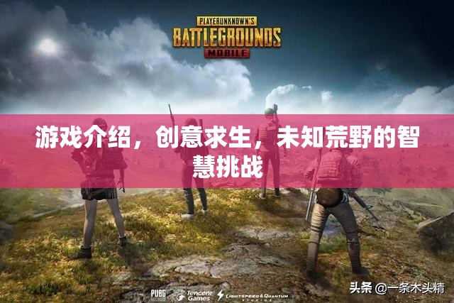 智慧挑戰(zhàn)，創(chuàng)意求生在未知荒野的生存游戲