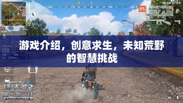 智慧挑戰(zhàn)，創(chuàng)意求生在未知荒野的生存游戲