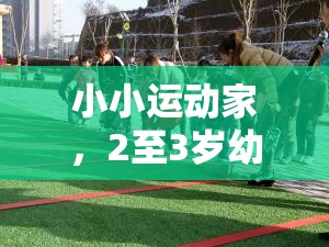 2至3歲幼兒體育游戲全攻略，培養(yǎng)小小運(yùn)動(dòng)家的秘訣