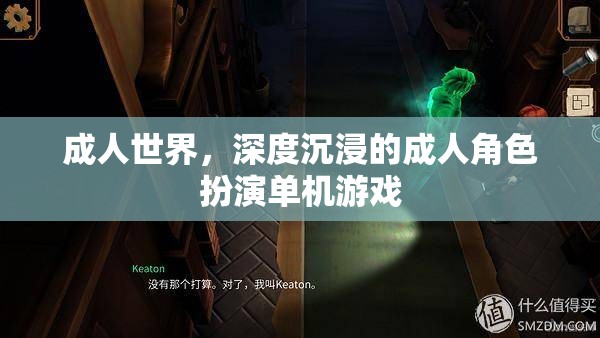 成人世界的深度沉浸，探索成人角色扮演單機(jī)游戲的魅力